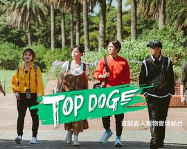 最新麻豆视频《TOP DOG》免费在线观看