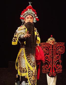 木瓜视频《袁崇焕2009》免费在线观看