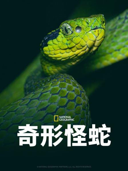 木瓜视频《奇形怪蛇》免费在线观看